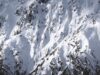 Các nhà phát triển Avalanche vội vàng vá máy khách vì ‘lỗi’ làm chậm các giao dịch trên blockchain Avalanche