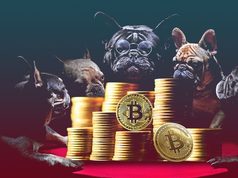 BIGG mua 60.7 Bitcoin, hiện có tổng cộng 300 BTC trong kho bạc BIGG