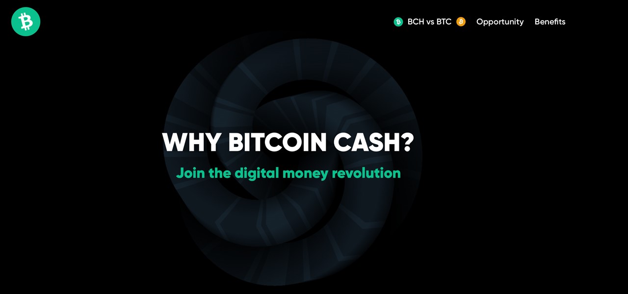 Bitcoin Cash 1