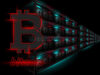 Các tổ chức và thợ đào tích lũy Bitcoin nhưng cá voi thì chưa chắc Các tổ chức và thợ đào tích lũy Bitcoin nhưng cá voi thì chưa chắc