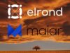 Elrond giới thiệu ứng dụng thanh toán và ví Maiar elrond