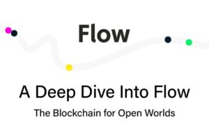 Tương lai phát triển của Fow Blockchain