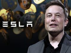 Musk 1