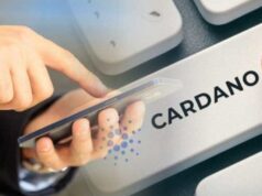 Cardano vượt qua 500,000 tài khoản và Daedalus ra mắt hỗ trợ tài sản gốc