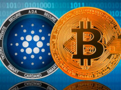 Cuộc khảo sát cho thấy các nhà đầu tư bán lẻ tỏ ra lạc quan về ADA hơn so với Bitcoin