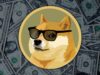 Dogecoin có thể khiến một số nhà đầu tư trở nên giàu có nhưng cũng làm người khác khóc dở mếu dở