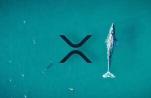 Dữ liệu cho thấy “cá voi” đang mua XRP khi tâm lý xã hội tăng lên Dữ liệu cho thấy "cá voi" đang mua XRP khi tình cảm xã hội tăng lên