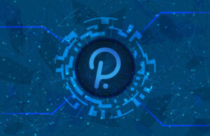 Parachain là gì? Tìm hiểu về parachain trên hệ sinh thái Polkadot parachain