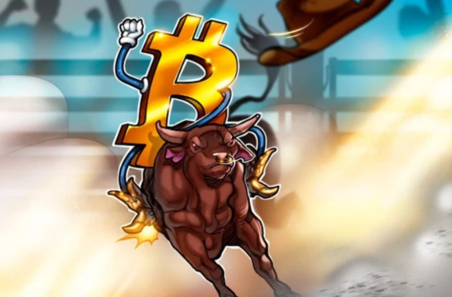 Bull run bitcoin