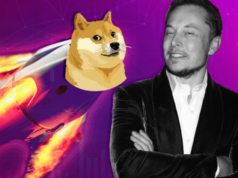 Dogecoin 3