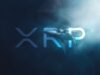Ripple báo cáo cá voi XRP tăng cường tích lũy bất chấp vụ kiện của SEC đang diễn ra