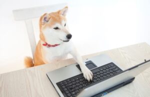 DogeLabs.IO bắt tay với AppSwarm Corp thành lập nhóm phát triển Dogecoin toàn cầu DevOps Dogecoin