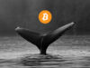 https://azcoinnews.com/the-number-of-bitcoin-whales-is-at-the-same-levels-as-in-2020-and-here-are-a-couple-of-reasons-behind-this-phenomenon.html