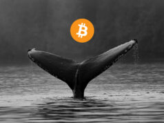 https://azcoinnews.com/the-number-of-bitcoin-whales-is-at-the-same-levels-as-in-2020-and-here-are-a-couple-of-reasons-behind-this-phenomenon.html