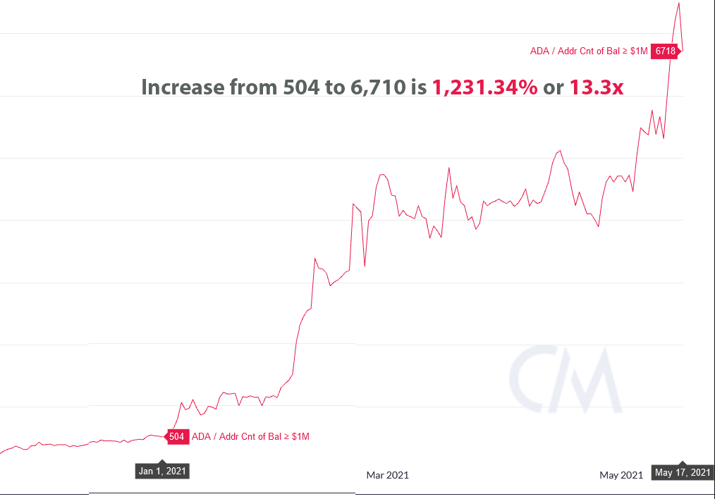 Sau đợt tăng giá gần đây số triệu phú Cardano tăng lên thành 6.710 người