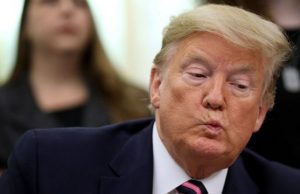 Giá sàn NFT của Donald Trump giảm 80% trong 10 ngày Donald Trump tien dien tu