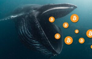 Phân tích on-chain BTC: Tài khoản lớn tích lũy trong khi tài khoản nhỏ bán bitcoin-lon