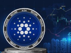 cardano-duoc-ghi-nhan-la-du-an-co-nhieu-hoat-dong-soi-noi-nhat-tren-github-bo-xa-ethereum