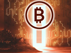 dong-von-bitcoin