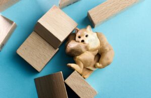 Giá Dogecoin gần như quay trở lại mức giá trước khi sụp đổ, $ 16 triệu giá trị lệnh short DOGE đã bị thanh lý gia-dogecoin-gan-nhu-quay-tro-lai-muc-gia-truoc-khi-sup-do
