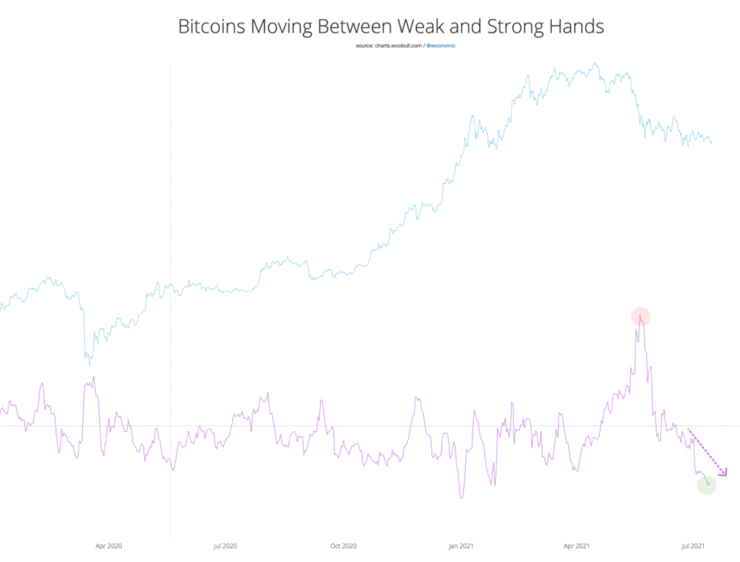 Short Bitcoin trên Bitfinex giảm 25% sau khi tăng kỷ lục, liệu giá Bitcoin có tăng trở lại?