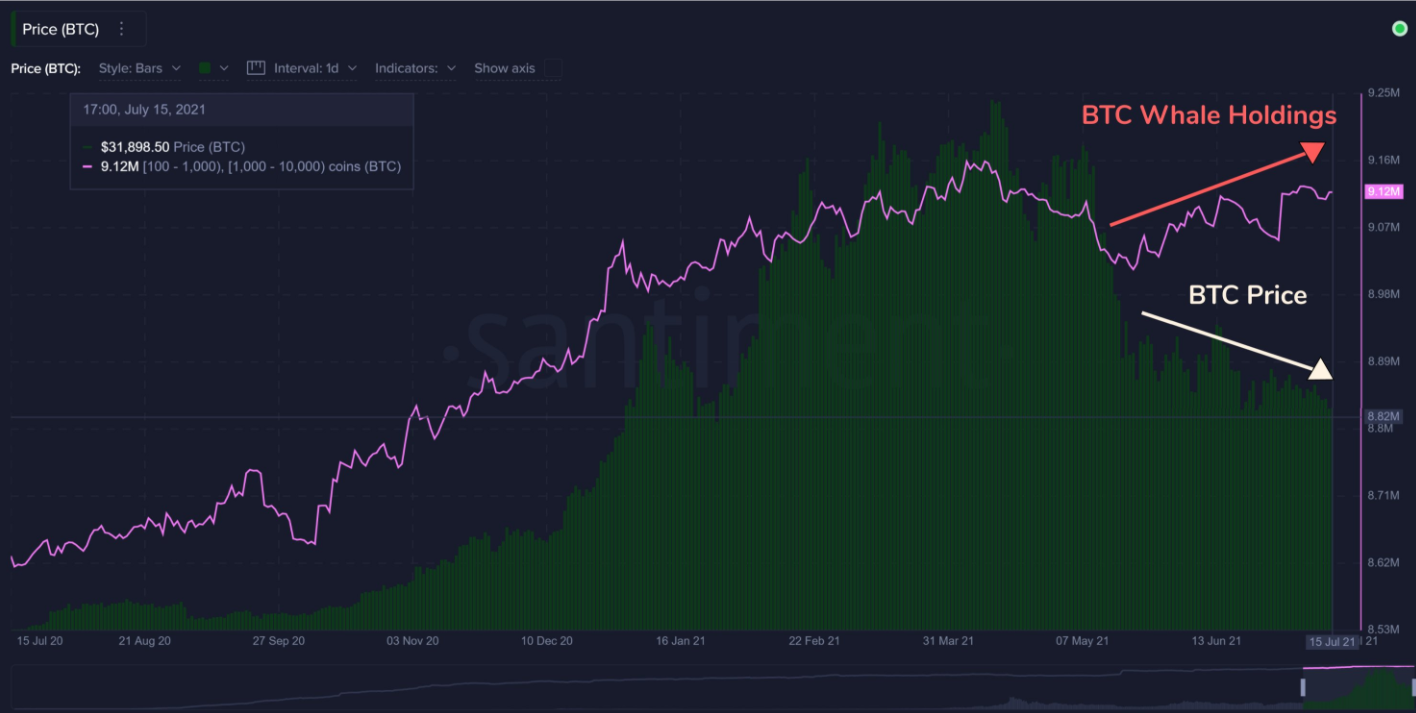 Cá voi Bitcoin tích lũy khi tiền gửi trên sàn giao dịch báo hiệu xu hướng giảm giá