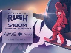 Avalanche Rush