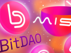 Bitdao đấu giá