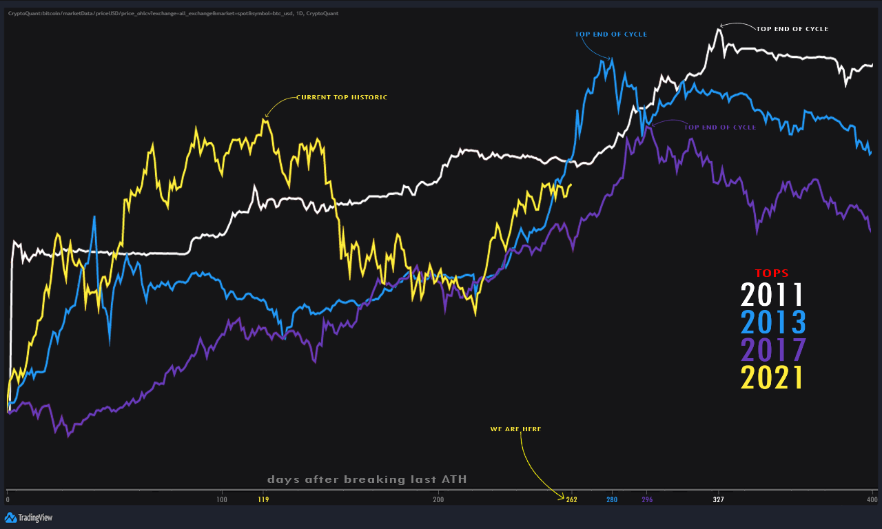 Quant giải thích lý do tại sao Bitcoin vẫn chưa đạt đỉnh ở chu kỳ tăng giá hiện tại