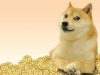 Dogecoin Foundation cảnh báo về dự án tiền điện tử “Dogecoin 2.0”