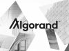 Đây là lý do tại sao giá Algorand (ALGO) vừa tăng lên mức cao mới trong nhiều năm