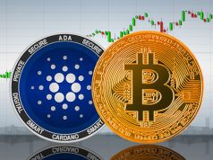 bitcoin-vs-cardano