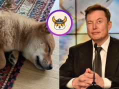 elon-musk-lai-day-gia-floki-inu-tang-vot-gan-90-chi-bang-buc-anh-ve-chu-cho-cua-minh