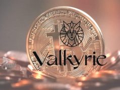 Bitcoin Futures ETF Valkyrie