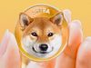 Shiba Inu (SHIB) đang hình thành tam giác giảm dần bất chấp việc tăng 300% trong 9 ngày