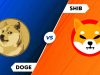 Tại sao không công bằng khi so sánh trực tiếp giữa Shiba Inu và Dogecoin?