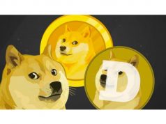 petcoin DOGE