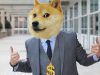 DOGE BNB shiba inu