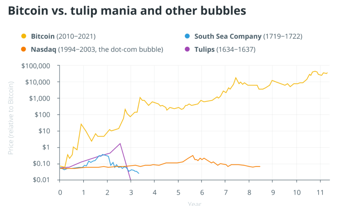 Bạn có còn so sánh Bitcoin với bong bóng hoa tulip không?
