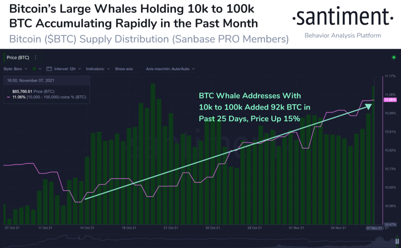 Bitcoin xuất hiện cờ bò tăng giá cổ điển khi cá voi tiếp tục tích lũy