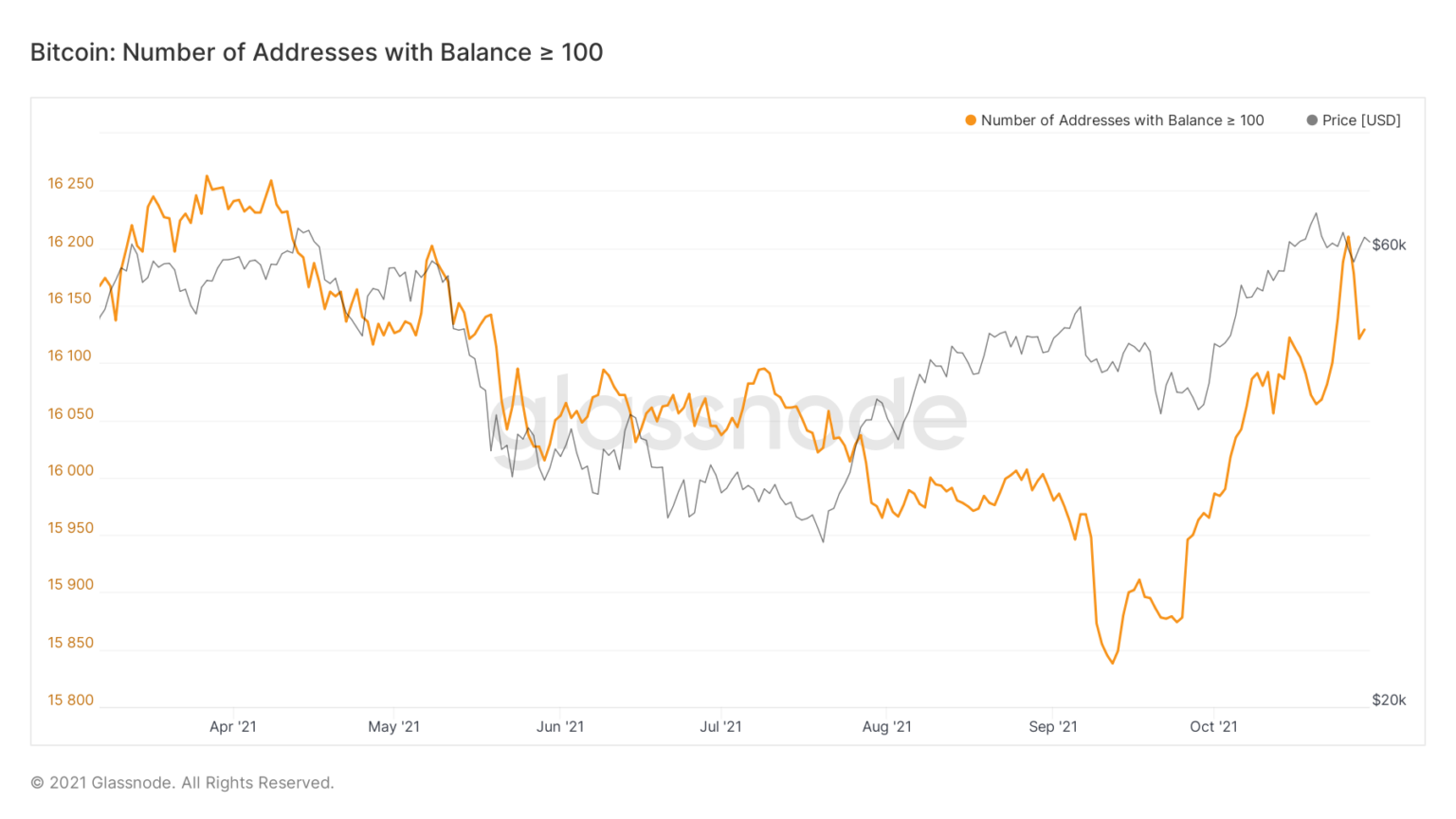 Cá voi có thể đã giúp Bitcoin tiếp tục bùng nổ trong tháng này