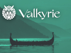 Valkyrie Defi