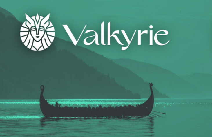 Valkyrie Defi