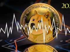 Dogecoin Foundation tiết lộ kế hoạch lớn dành cho DOGE vào năm 2022