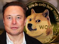 Elon Musk tiết lộ lý do tại sao lại ủng hộ Dogecoin giữa cuộc tranh luận về Web 3.0, Ethereum, phi tập trung