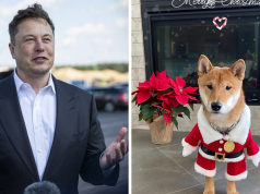 Santa Floki (HOHOHO) tăng 18.800% trong 2 ngày sau dòng tweet của Elon Musk