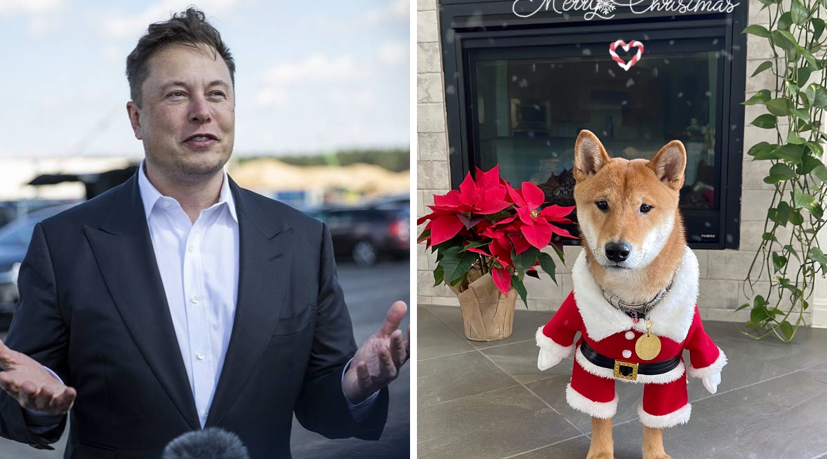 Santa Floki (HOHOHO) tăng 18.800% trong 2 ngày sau dòng tweet của Elon Musk