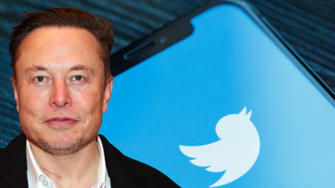 Elon Musk chỉ trích tính năng ảnh đại diện NFT của Twitter