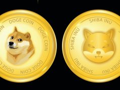 Doggie memecoin