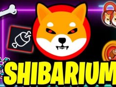 Shiba Inu (SHIB) hứa hẹn sẽ bùng nổ trong năm 2022 với Shibarium